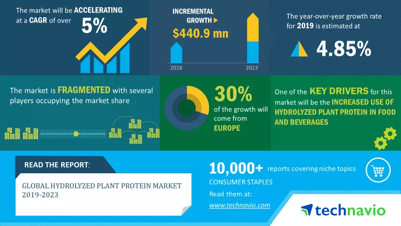 Hydrolyzed Plant Protein Market 